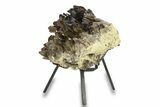 Dark Smoky Quartz Crystal Cluster - Brazil #293628-2
